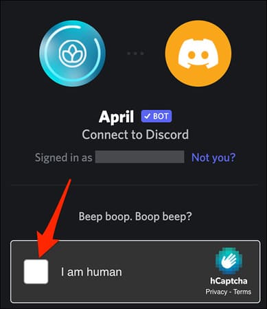 Cách tạo Bot trong Discord 28