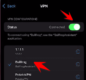 kết nối vpn bullfrog