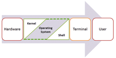 shell script