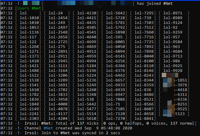 Có gì trong "ổ" server botnet ở Việt Nam vừa được phát hiện 12