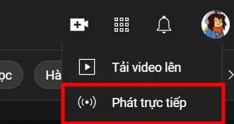 Phát trực tiếp video