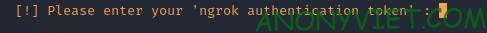 Nhập Authtoken Ngrok