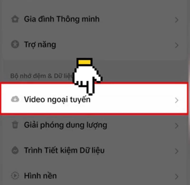 Dùng Tik Tok không cần internet