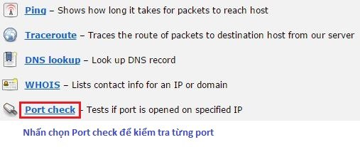 Hướng dẫn cấu hình No-IP, Nat Port ra Internet 20